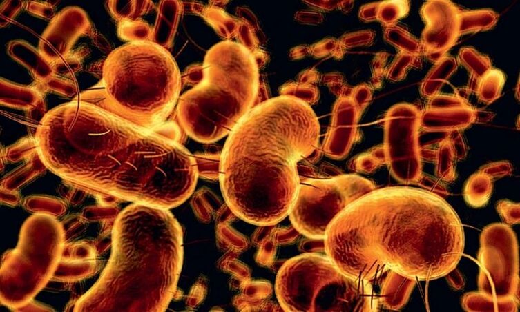bactéries causant la prostatite infectieuse