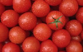 des tomates pour la puissance